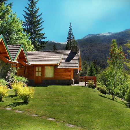 Cabanas Aldea De Los Andes Villa Villa La Angostura Buitenkant foto